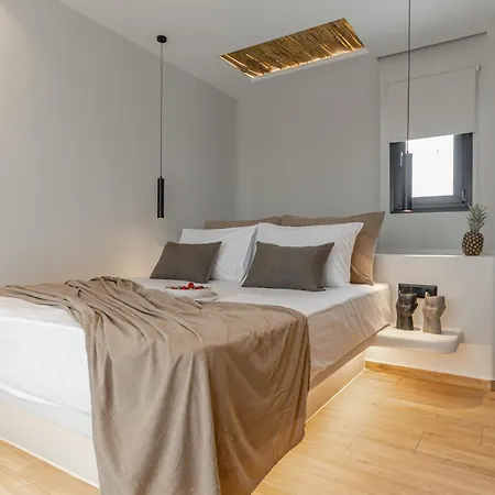 Villa Naxian Spirit Luxury Plaka *