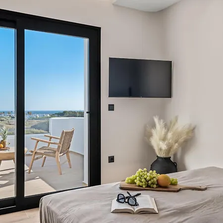 Naxian Spirit Luxury Plaka Villa *