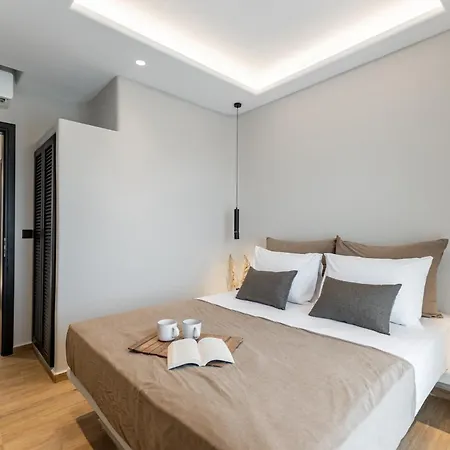 Villa Naxian Spirit Luxury Plaka